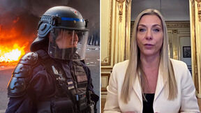 Ana Hrustanović, Protesti u Francuskoj, Ambasadorka Srbije u Francuskoj