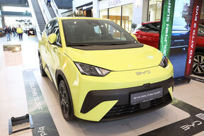 byd dolphin surf (1).jpg