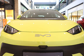 byd dolphin surf (1).jpg