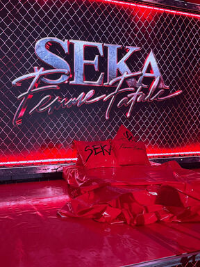 Seka Aleksić promocija albuma Femme Fatale (1).jpg