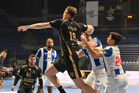 Partizan - Porto (1).jpg