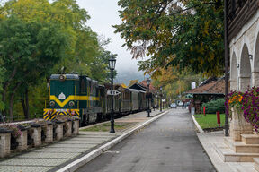 Mokra Gora