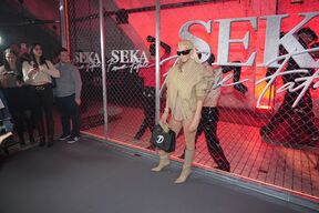 Jelena KArleuša
