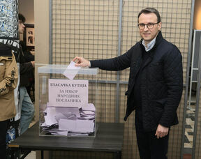 Petar Petković, Dedinje (2).jpg