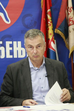Dejan Šoškić 2.jpg