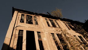Fabrika Dimitrije Tucović (2).png