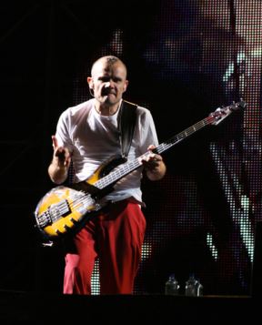 Red Hot Chili Peppers Flea autobiografija