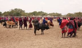 Tanzanija u objektivu