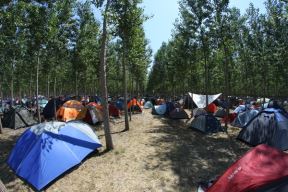 EXIT kamp: Dremanje i brčka