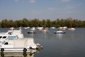 Dunav i Sava se spremaju za leto