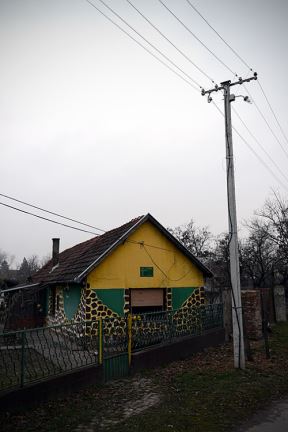 I u Vojvodini "žive" žirafe
