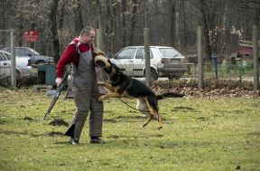 Policijski psi čuvari Srbije