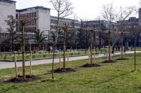 Studentski park će tokom noći biti privremeno zatvoren dok traju radovi na rekonstrukciji kapija.