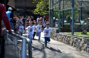 Dečiji maraton u beogradskom Zoološkom vrtu.