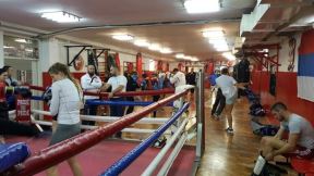 Diana Dabetić - kik boks