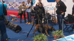 Evropsko prvenstvo vaterpolo: Policijski pas (FOTO)
