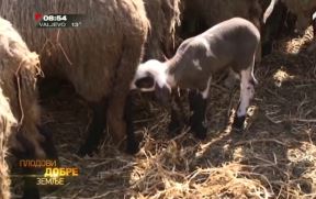Roksanda Babić voditeljka "Plodovi dobre zemlje"