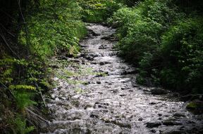 Vlasinsko jezero - plutajuća ostrva