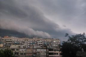Vetar divljao, obarao drveće po Beogradu  (FOTO)
