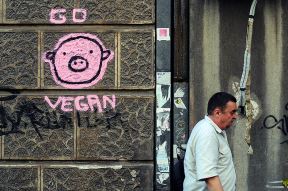 Go Vegan ulični grafiti u Beogradu