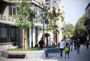 Zmaj Jovina ulica postala pešačka zona