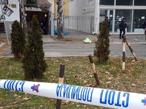 Ubistvo u Novom Sadu - Mladići ubijeni pajserima i štanglama