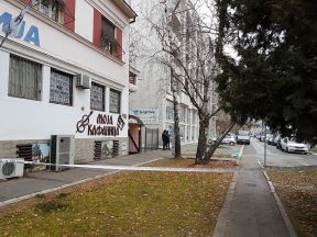 Ubistvo u Novom Sadu - Mladići ubijeni pajserima i štanglama
