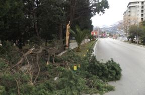 Nevreme u Crnoj Gori - orkanski vetar u Baru