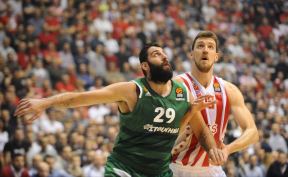 Marko Simonović Crvena zvezda Panatinaikos