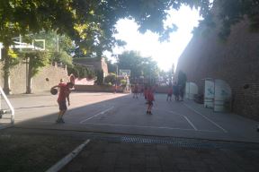 Skupština KK Crvena zvezda jun 2017
