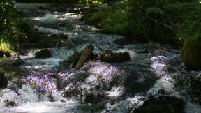 Šipovo,Janjski otoci, reka Pliva, Janj, Sokočnica, Lubovica i Volarica, ZET od Šipiva