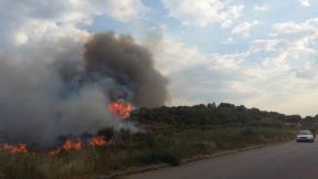 Požar u Sutomoru došao do kuća