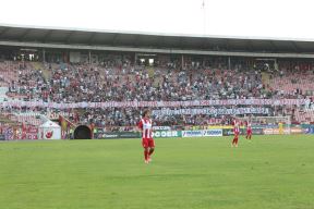 Crvena zvezda - Radnički Niš 3:0, Vladan Milojević