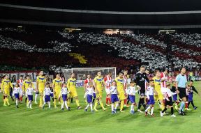 Delije, koreografija navijača Crvene zvezde.