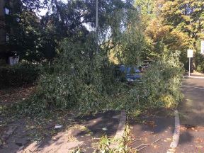 RHMZ upozorava na obilne padavine