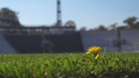 Stadion Partizana Partizan iznajmljuje ime stadiona