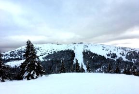 Kopaonik đubre na Kopaoniku