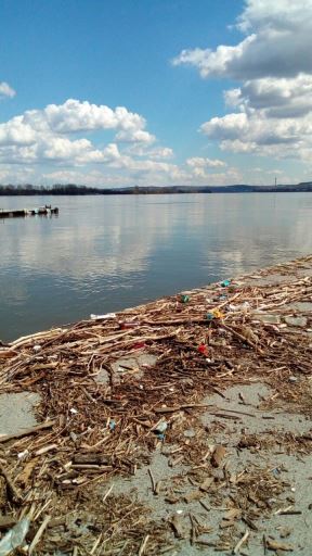 Dunav Zemunski kej đubre