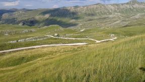 Krnovska visoravan