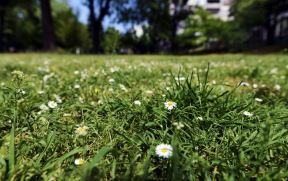 Beograd: Karađorđev park u proleće FOTO