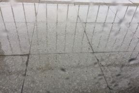 Nevreme u Beogradu