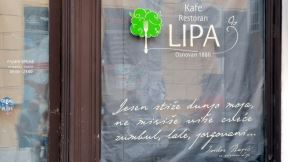 Kafane u Srbiji, Najbolja kafana, Kafane u Novom Sadu