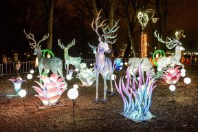 Kineska Nova godina: Kalemegdan Kineski festival svetla (FOTO)