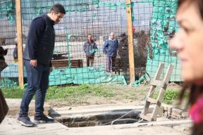 Seča stabala na Kalemegdanu - Zoran Radojičić
