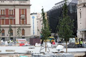 Trg Republike zasađeno drveće (FOTO)