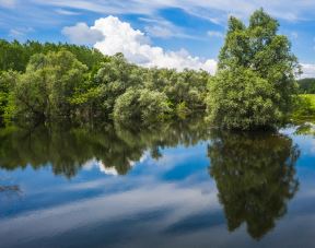 Dunav u Srbiji pun fekalija - Austrija