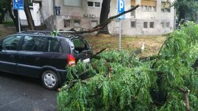 Nevreme u Beogradu