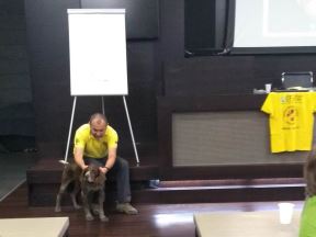 Spasavanje životinja - Animal rescue Serbia - praktični saveti