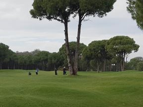 Pinosava - golf tereni - gradnja