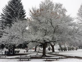 Zima na pragu: Dočekasmo SNEG u Srbiji!